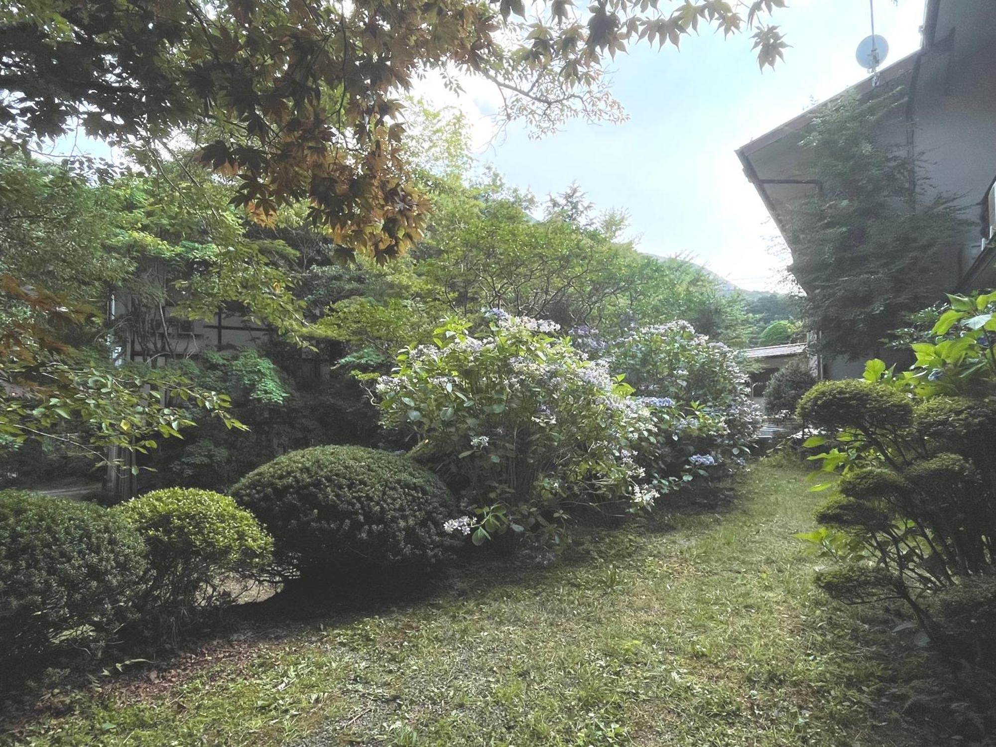 温泉旅館みたけ 箱根町 エクステリア 写真